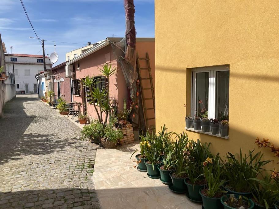 Apúlia Casa Novaヴィラ エクステリア 写真